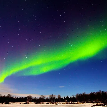 伊纳利鱼类领域度假屋 * 伊纳利